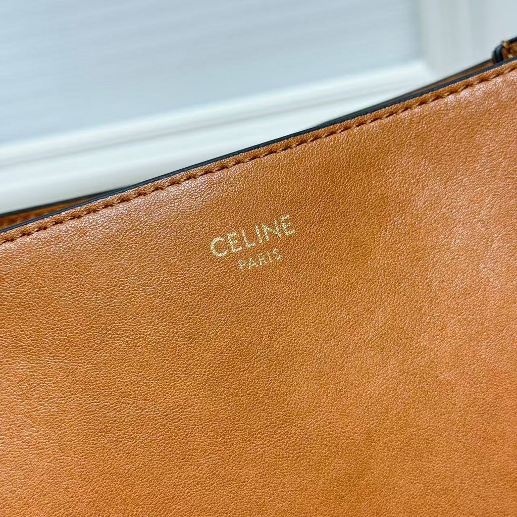 CELINE Triomphe Besace Bag in Brown