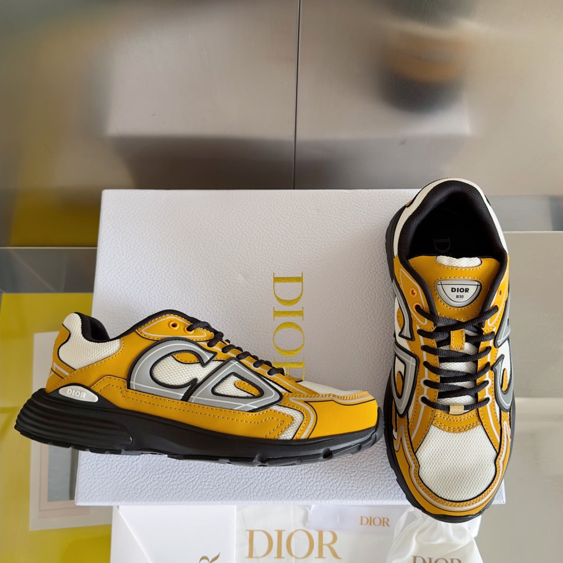 Dior B30 Reflective Sneakers