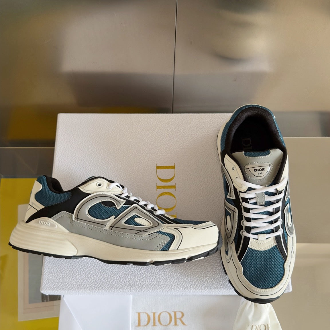 Dior B30 Reflective Sneakers
