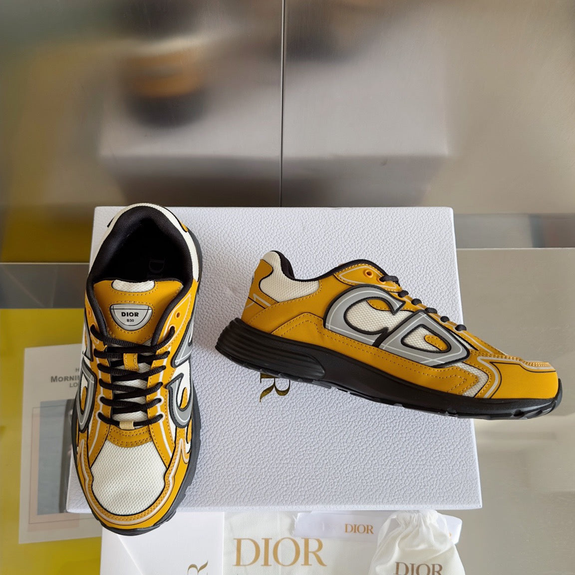 Dior B30 Reflective Sneakers