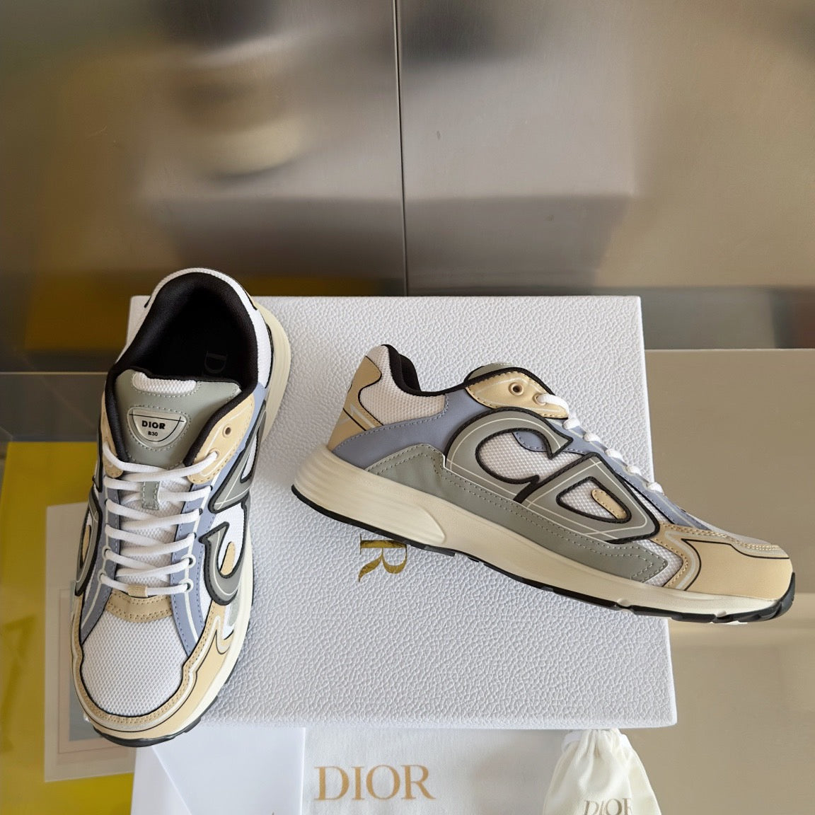 Dior B30 Reflective Sneakers