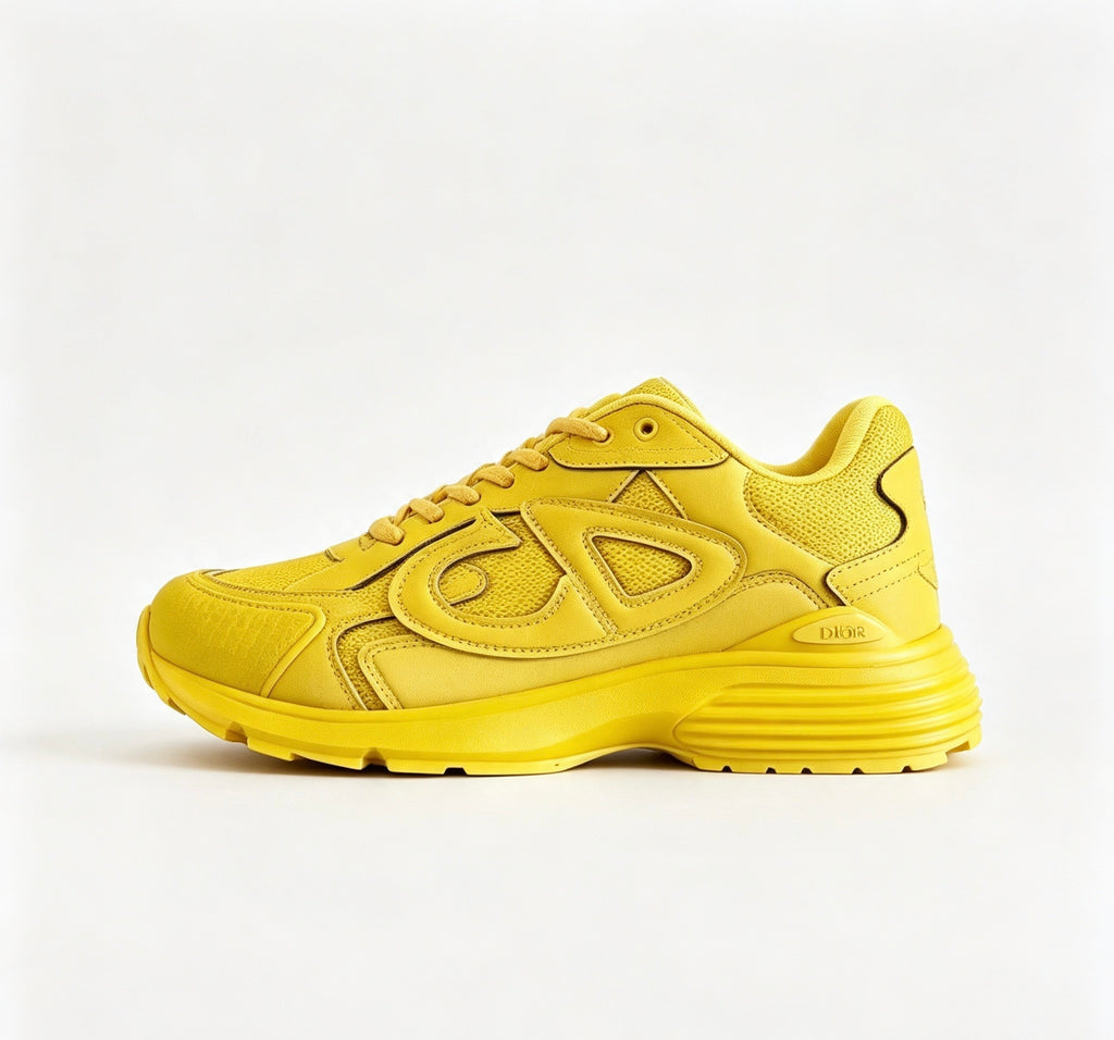 Dior B30 Reflective Sneaker