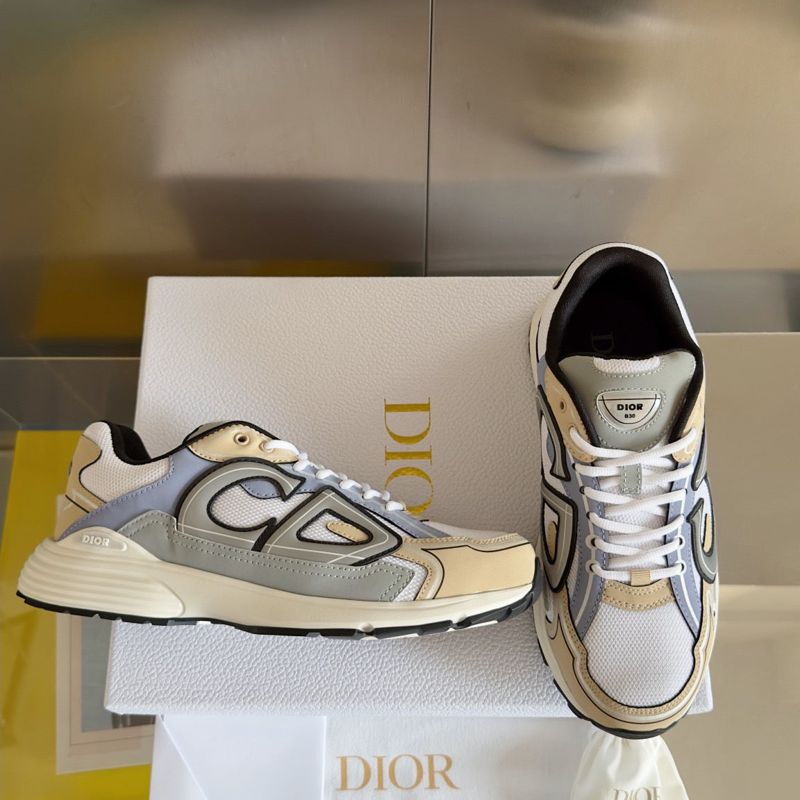 Dior B30 Reflective Sneakers