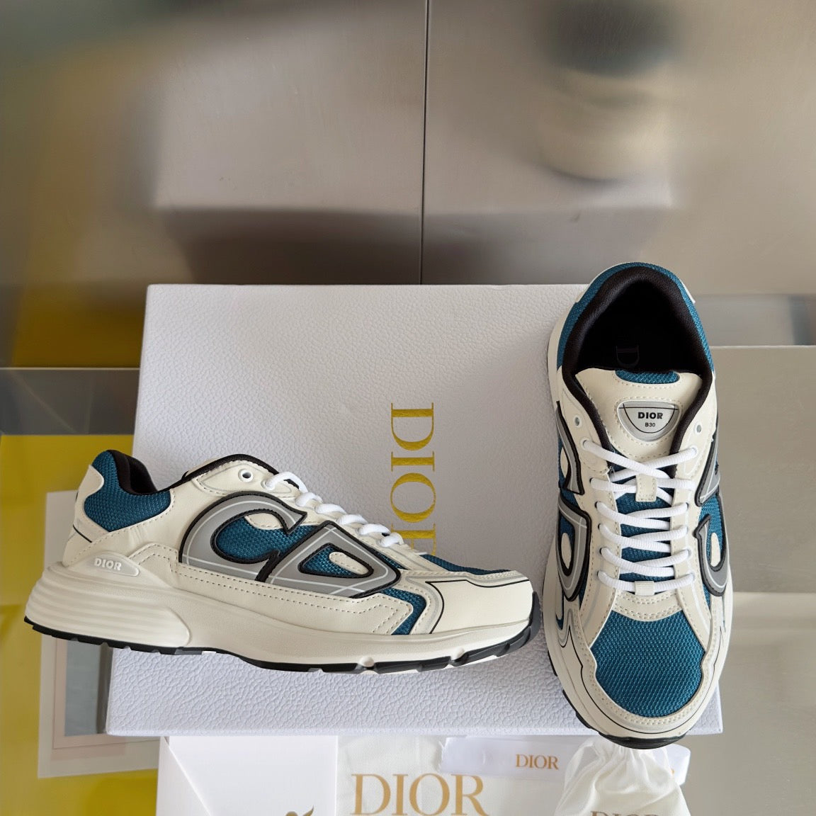 Dior B30 Reflective Sneakers