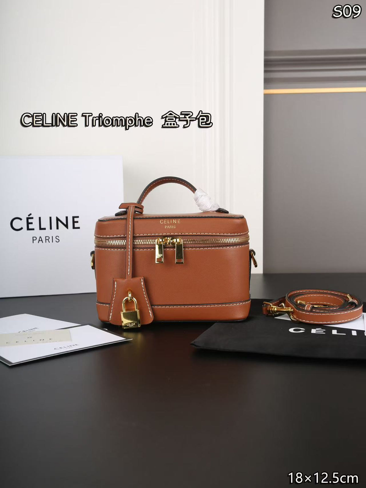 CELINE Triomphe Box Bag in Brown | Shoulder & Crossbody
